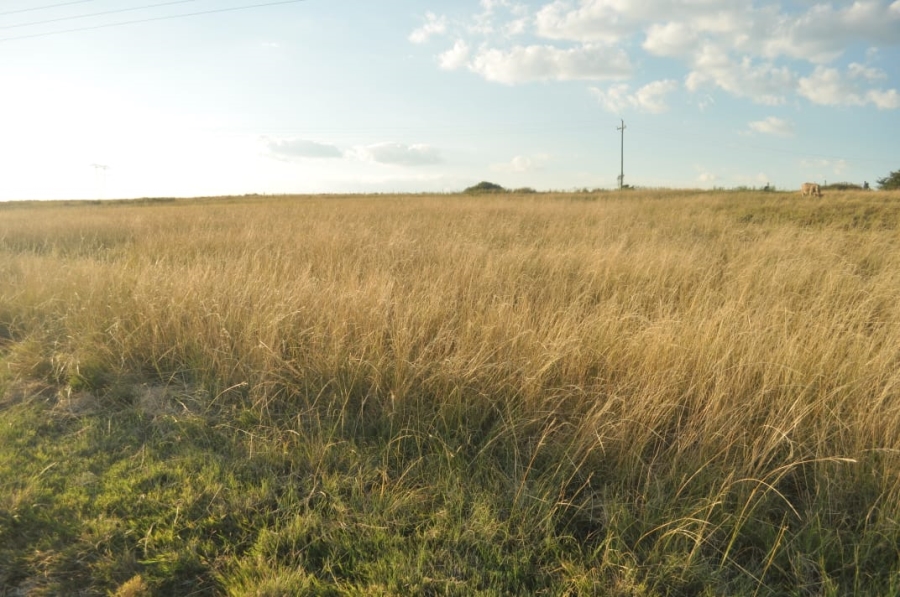 5 Bedroom Property for Sale in Reitz Rural Free State